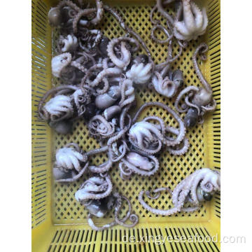 Octopus langes Bein 20-50g